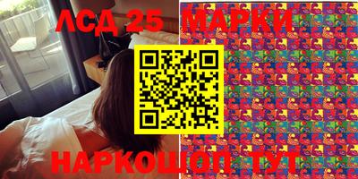 мдпв Кингисепп
