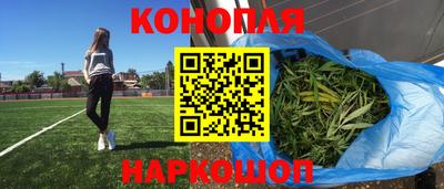 мдпв Кингисепп