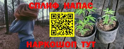 дживик Кимры