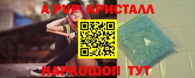 мдпв Кингисепп