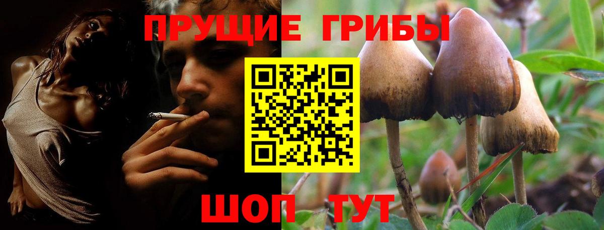Галлюциногенные грибы прущие грибы  Вход с VPN  Ейск  Галлюциногенные грибы GOLDEN TEACHER 